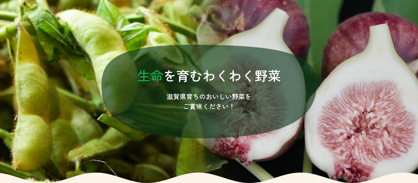 生命を育むわくわく野菜 滋賀県育ちのおいしい野菜をご賞味ください！